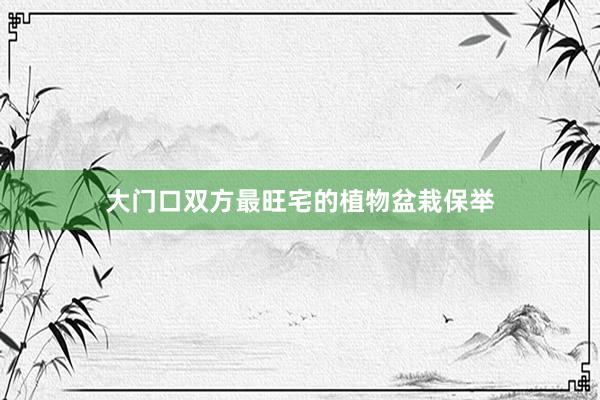 大门口双方最旺宅的植物盆栽保举