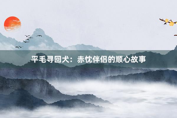 平毛寻回犬：赤忱伴侣的顺心故事