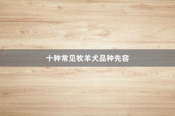 十种常见牧羊犬品种先容