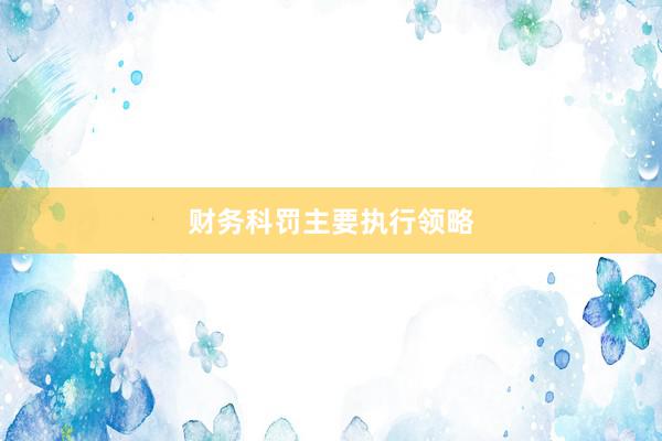财务科罚主要执行领略